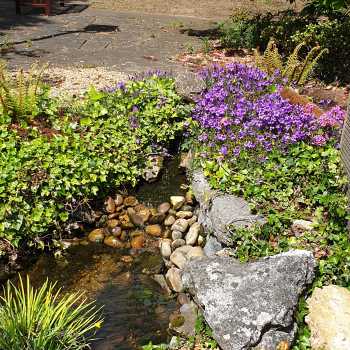 richden park care home (Scunthorpe) garden