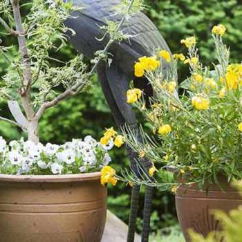 Ashurst Park Care Home in Royal Tunbridge Wells