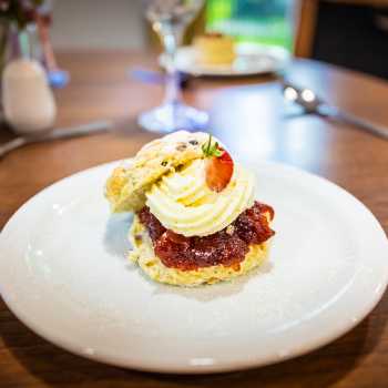 Allan Court Care Home Newcastle