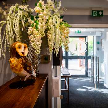 Allan Court Care Home Newcastle