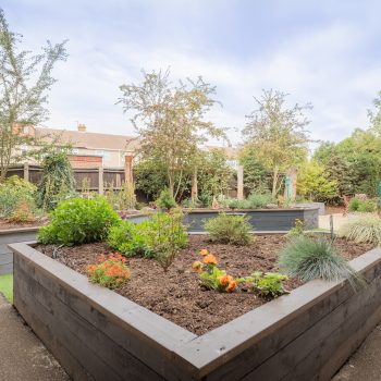 The Fountains Care Home Rear Garden Planter